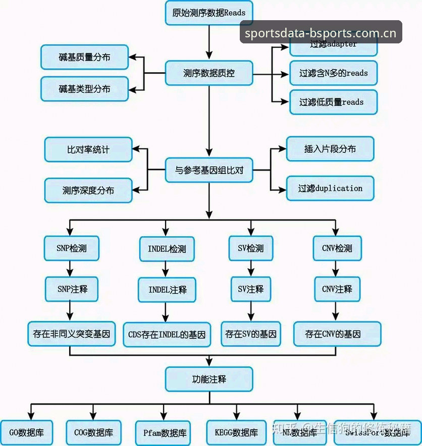 体育实时数据 BSports体育官网实时数据操作教程:从入门到精通的完整指南